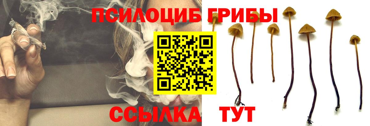 Псилоцибиновые грибы ЛСД Алушта